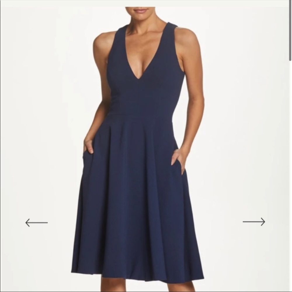 Dress the Population Catalina Fit & Flare Dress